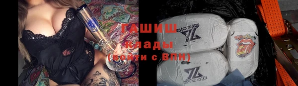 дмт Осташков