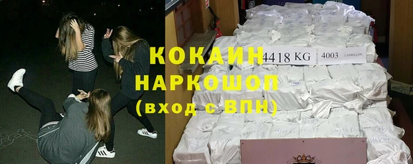 дмт Осташков