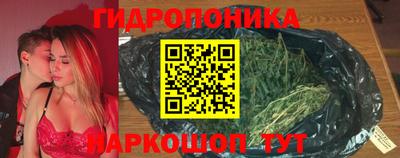 прущие крисы Заводоуковск