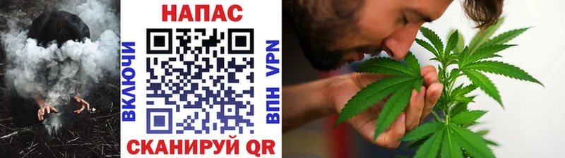 где купить   Курчалой  МАРИХУАНА SATIVA & INDICA 